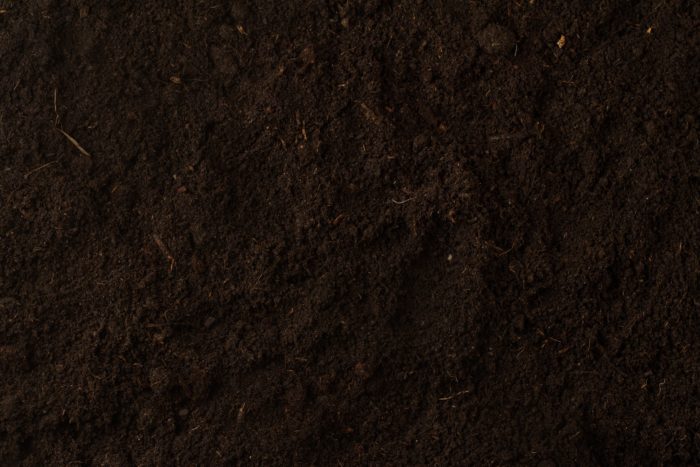 Black soil texture background top view