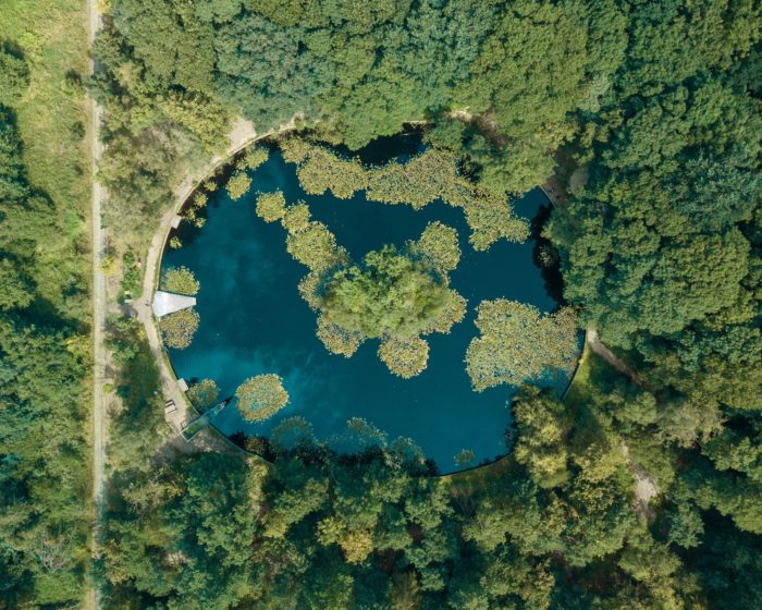Pond in a forest drone shot